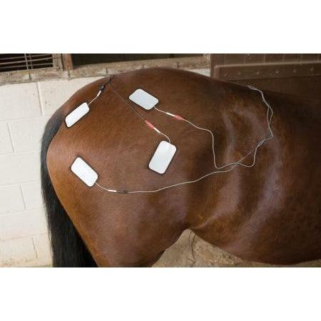 Intelect Vet Color Combo Chattanooga Brand