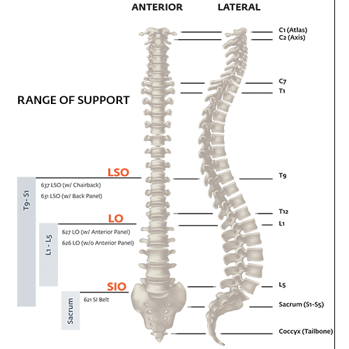 Exos FORM II 621 Back SI Support Exos Category