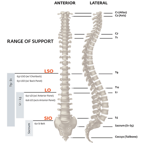 Exos FORM II 626 Back Support Exos Category