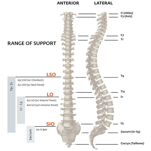 Exos FORM II 627 Back Brace Exos Category