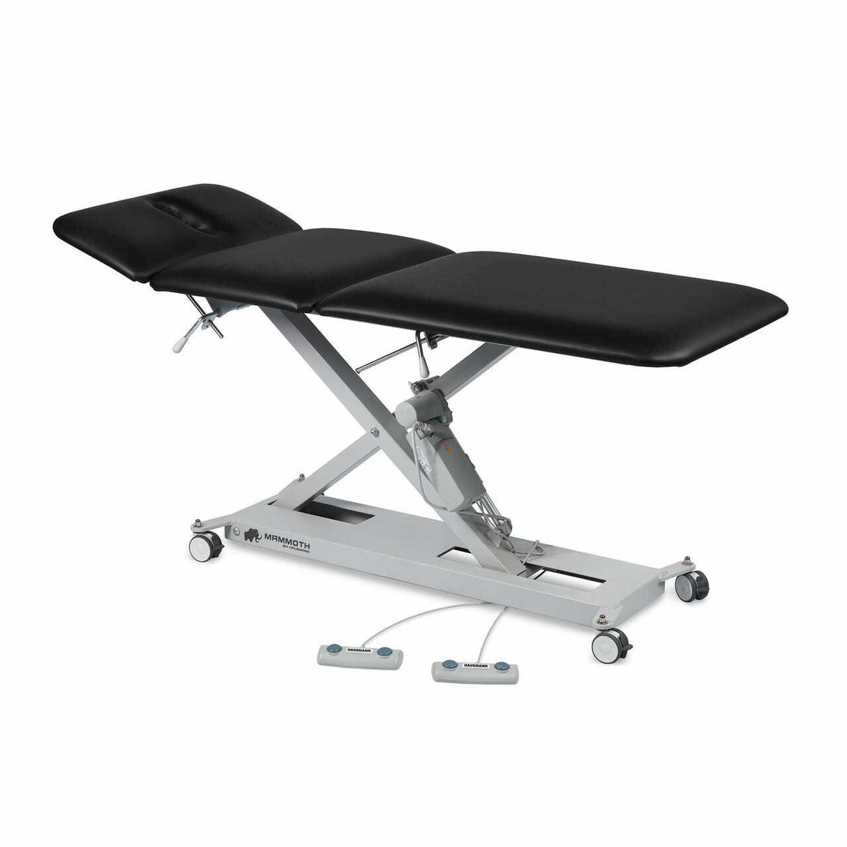 Mammoth 3 Hi-Lo Treatment Table Hausmann Category