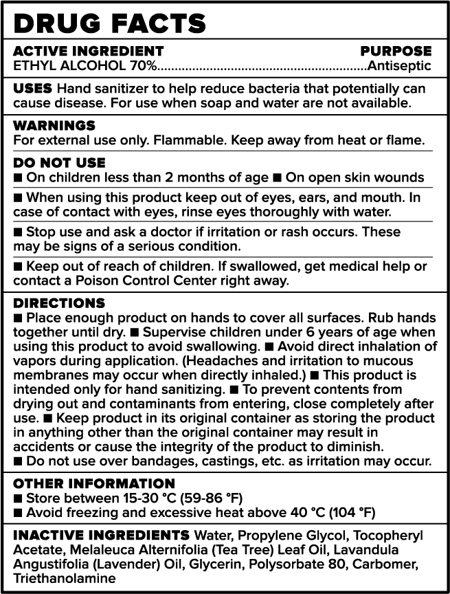 Hand Sanitizer Gel w/Pump 70% Ethyl Alcohol MarkOne Category