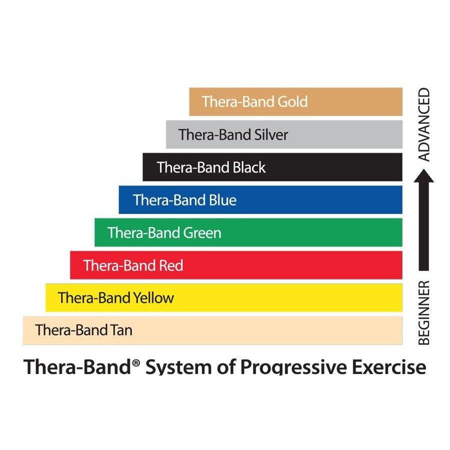 TheraBand Professional Dispenser Pack 30 Count TheraBand Category