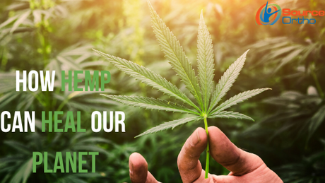 How Hemp Can Heal Our Planet - SourceOrtho