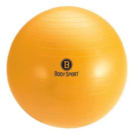 Body Sport Pro Fitness Ball