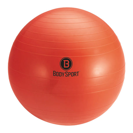 Body Sport Pro Fitness Ball