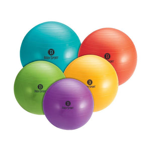 Body Sport Pro Fitness Ball Body Sport Ab, Core & Balance Trainers Body Sport SourceOrtho