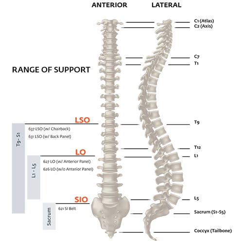 Exos Exos FORM II 626 Back Support