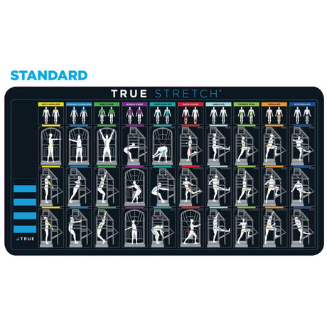 True Fitness Stretch Station True Fitness Specialty